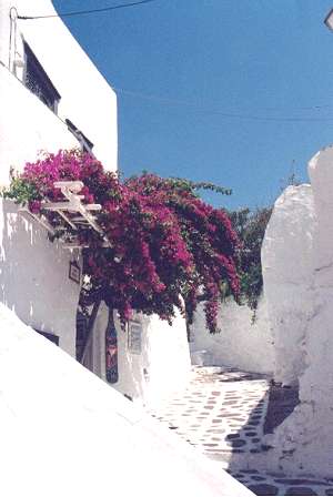 flowers.jpg - Mykonos street