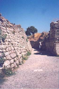 walls.jpg - The famous walls of Troy