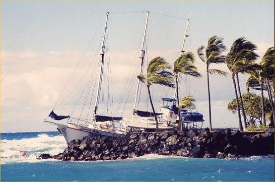 storm2.jpeg - ...this beauty actually had to be sawn in two before they could get it off the rocks :-(